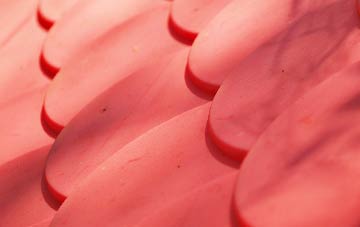 Winson plastic roof costs